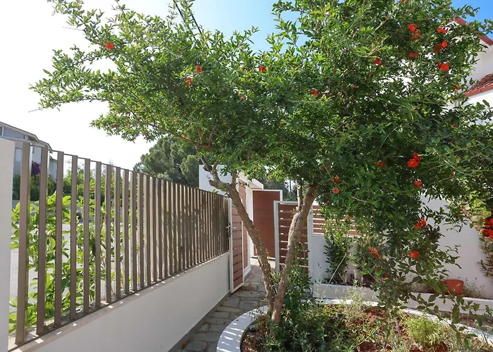 Anastasia Appartement Chaniotis