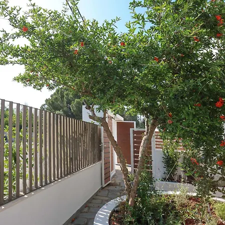 Anastasia Διαμέρισμα Χανιώτη